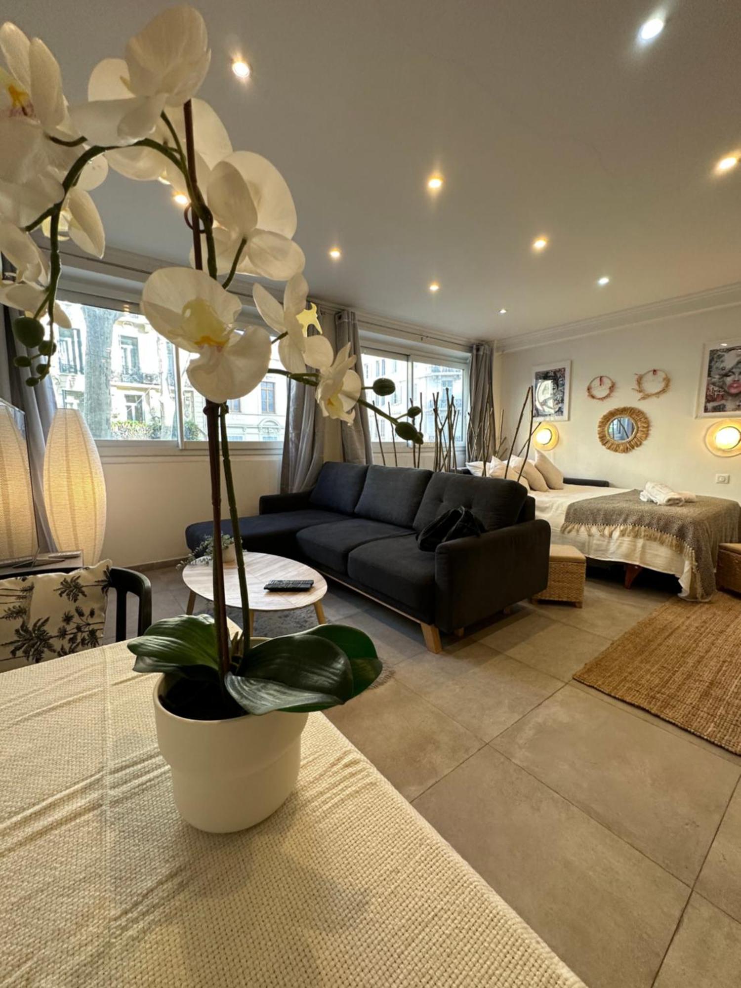 Grand Studio Cosy Cannes Centre Εξωτερικό φωτογραφία
